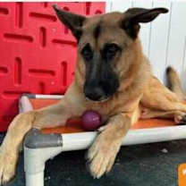 Thumbnail photo of Polo #2