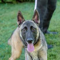 Thumbnail photo of Skadi (fka Debbie Harry) #2