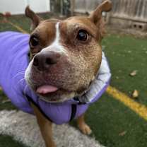 Thumbnail photo of Cranberry #3