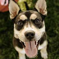 Thumbnail photo of Norah #1