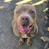 Thumbnail photo of Keke #1