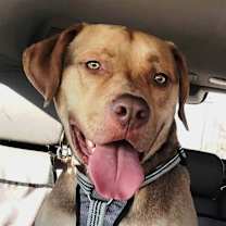 Thumbnail photo of Jackson #4