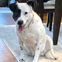 Thumbnail photo of Peggy - LOCAL #4