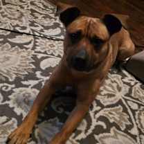 Thumbnail photo of Miles #2