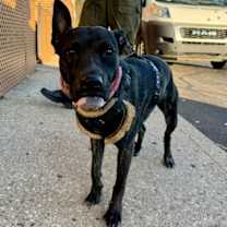 Thumbnail photo of Janey #3