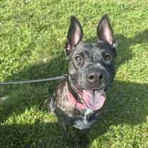 Thumbnail photo of Janey #4