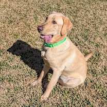 Thumbnail photo of Clyde #2