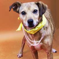 Thumbnail photo of Polly #1