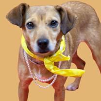 Thumbnail photo of Polly #2