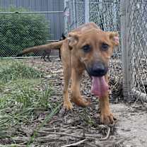 Thumbnail photo of Rachel #4