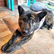 Thumbnail photo of Taeyang #3