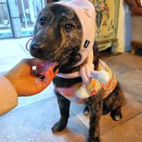 Thumbnail photo of Taeyang #1