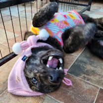 Thumbnail photo of Taeyang #2