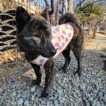 Thumbnail photo of Taeyang #4