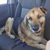 Thumbnail photo of Murphy #1