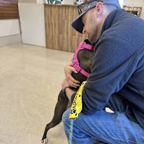Thumbnail photo of Talia #3