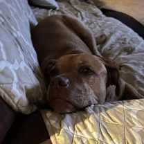 Thumbnail photo of Yuji (LONGEST RESIDENT) #4