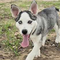 Thumbnail photo of Sky #2