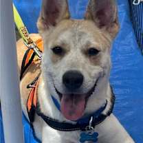 Thumbnail photo of Dumbo #2