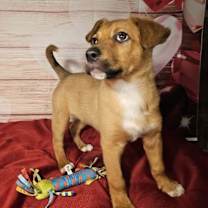 Thumbnail photo of Parker #2