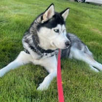 Thumbnail photo of Neptune #4