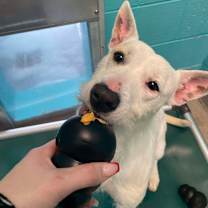 Thumbnail photo of June #3