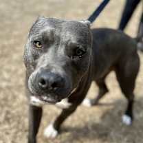 Thumbnail photo of Blu #3
