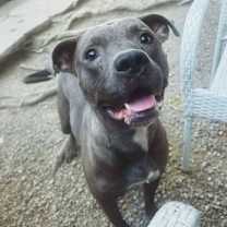 Thumbnail photo of Rick #1