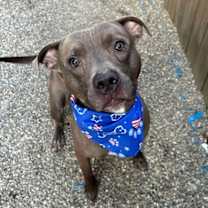 Thumbnail photo of Rick #3