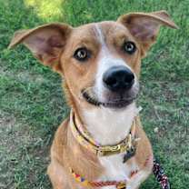 Thumbnail photo of Dixilyn #1