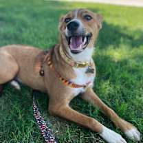 Thumbnail photo of Dixilyn #3