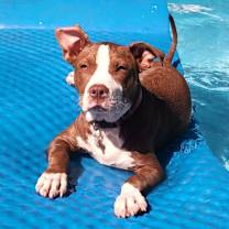 Thumbnail photo of Sweet Tea #4