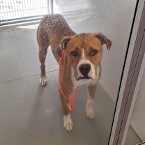 Thumbnail photo of Drake  #2