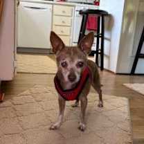 Thumbnail photo of Lucy #1