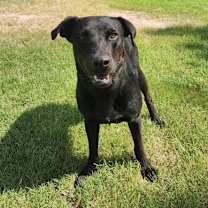 Thumbnail photo of Ghost buster JuM* #2