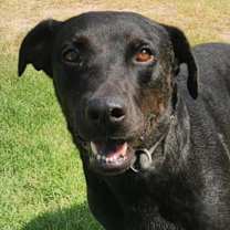 Thumbnail photo of Ghost buster JuM* #4