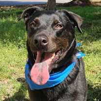 Thumbnail photo of Ghost buster JuM* #1