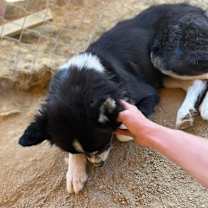 Thumbnail photo of Cheyenne #3