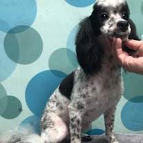 Thumbnail photo of Gerry #3