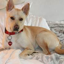 Thumbnail photo of Sugar #1