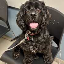 Thumbnail photo of Peter #1