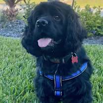 Thumbnail photo of Peter #3