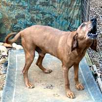 Thumbnail photo of Mr Bones #2