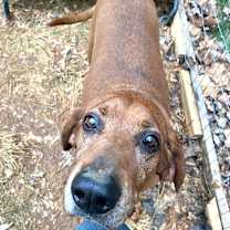 Thumbnail photo of Mr Bones #3