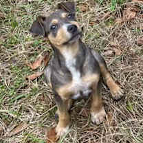 Thumbnail photo of Nora #1