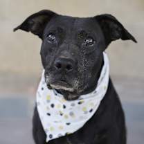 Thumbnail photo of Yesenia #1