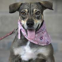 Thumbnail photo of Lola #1