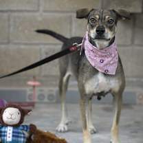 Thumbnail photo of Lola #3