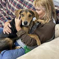 Thumbnail photo of Bailey #3