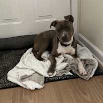 Thumbnail photo of Moriah #1